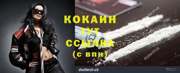 Альфа ПВП Новозыбков