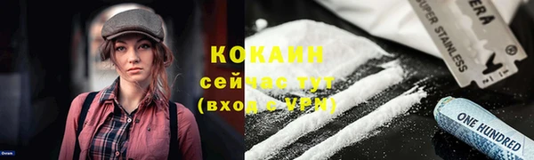 PSILOCYBIN Новодвинск