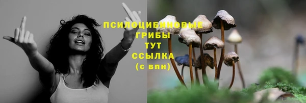 spice Новокубанск