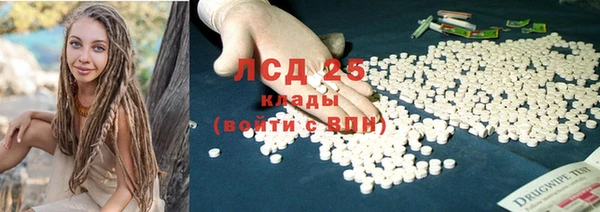 PSILOCYBIN Новодвинск