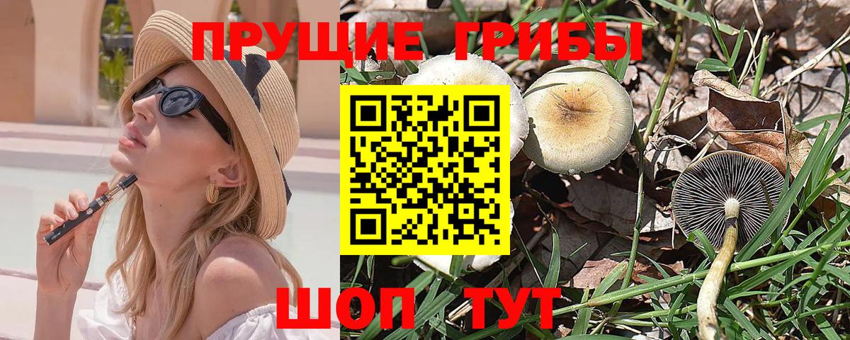 Псилоцибиновые грибы прущие грибы Полевской