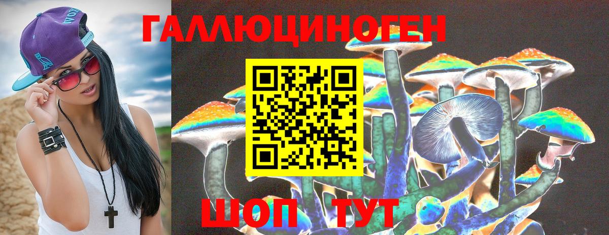 Галлюциногенные грибы Psilocybine cubensis Полевской